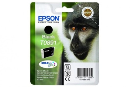 Originální cartridge EPSON T0891 (Černá)