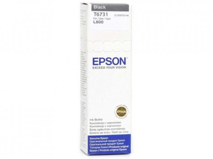 Originln lahev Epson T6731 (ern)