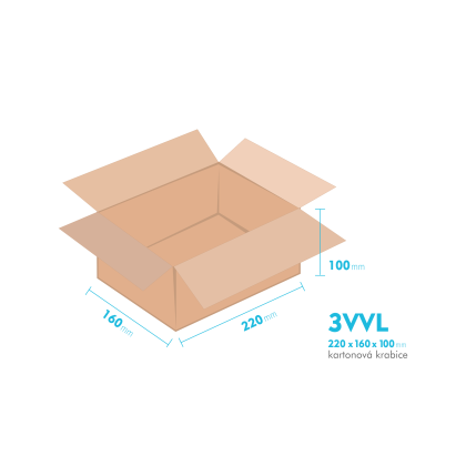 Kartonov krabice 3VVL - 220x160x100mm - vnitn 215x155x90mm