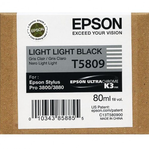 Originální cartridge EPSON T5809 (Světle světle černá)