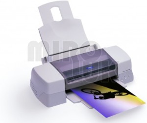 Epson Stylus Photo 1290